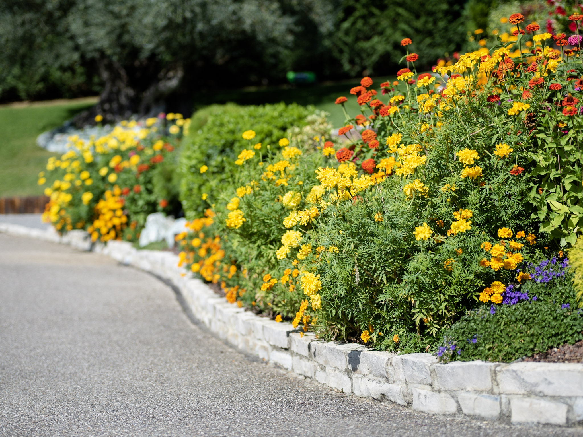 Végétaliser mon jardin